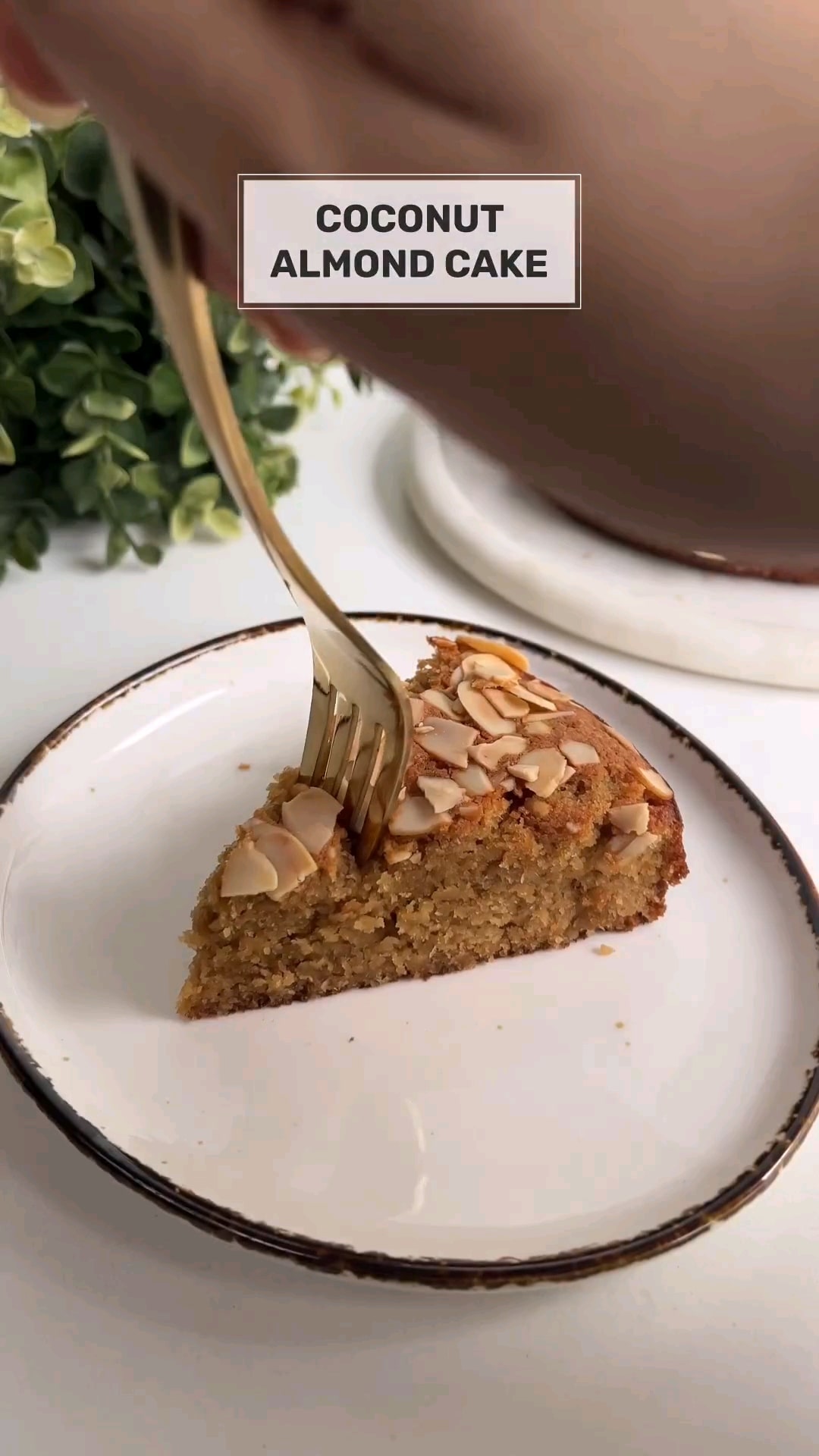 Coconut Almond Cake