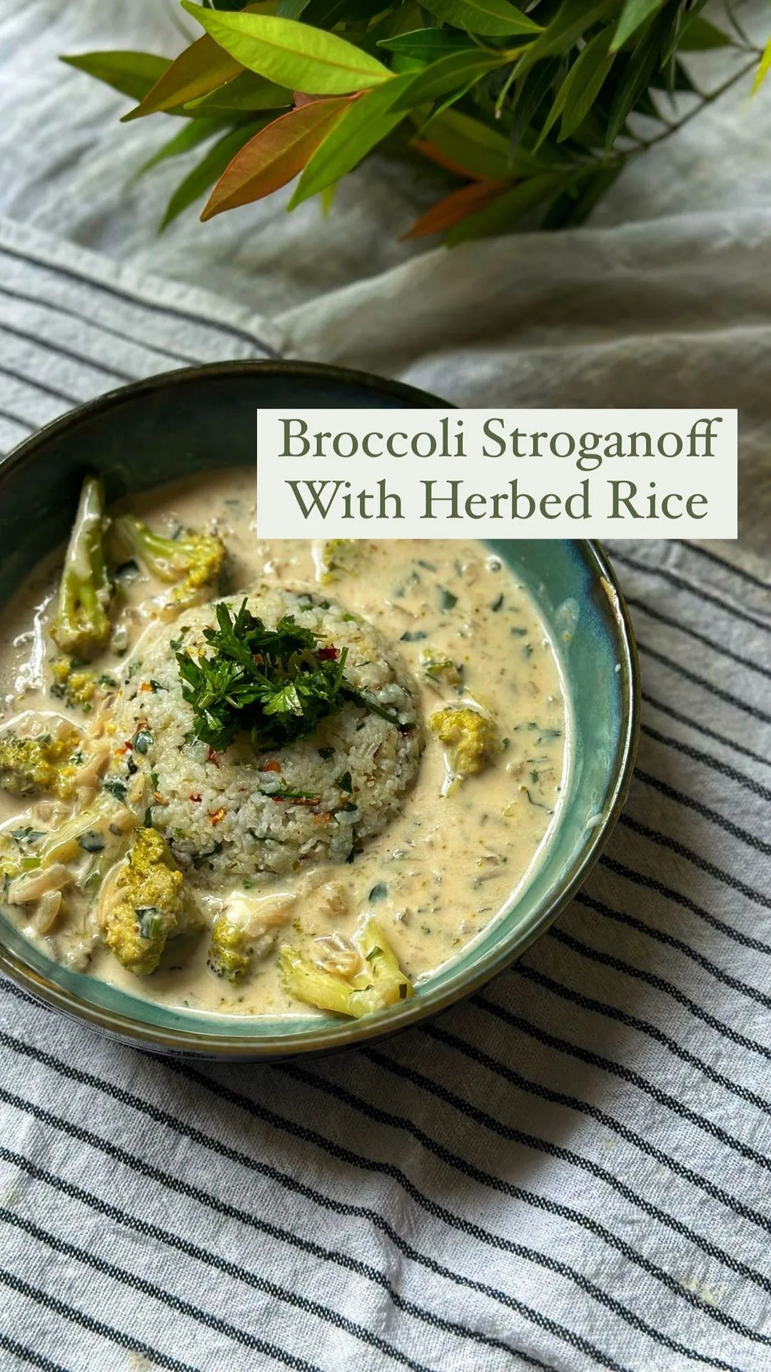 Broccoli Stroganoff With Herbed Rice