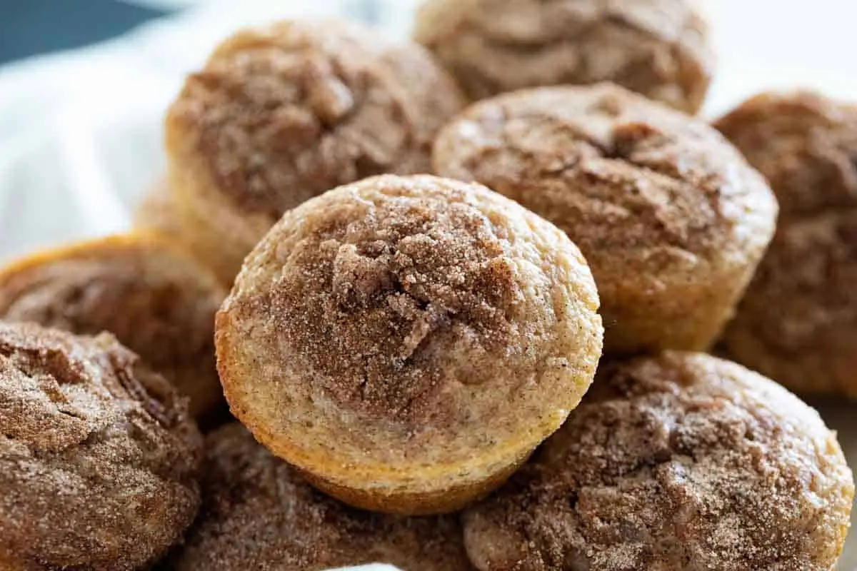 Cinnamon Breakfast Muffins